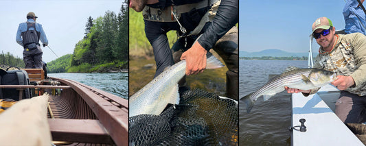 Trip Report Gaspé Coastal Atlantic Salmon Striped Bass