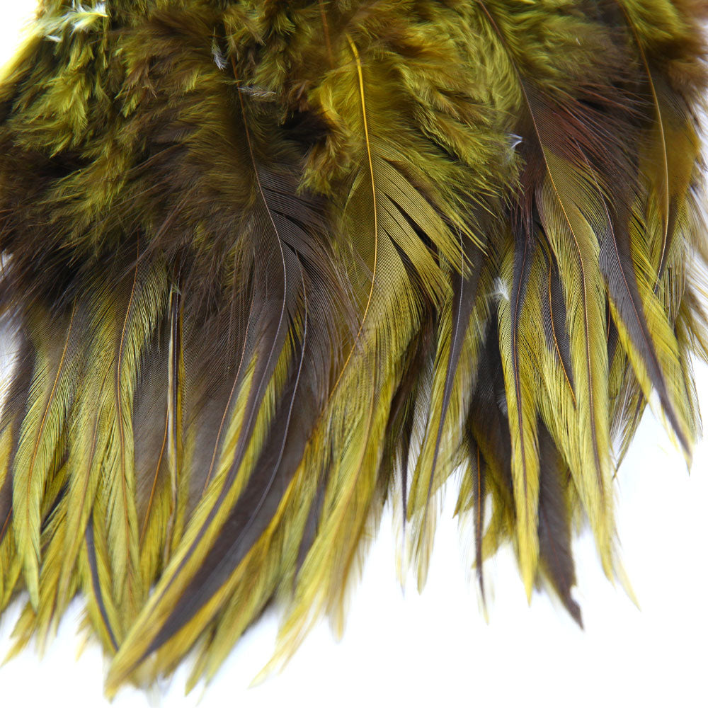 Badger Saddle Hackle Olive