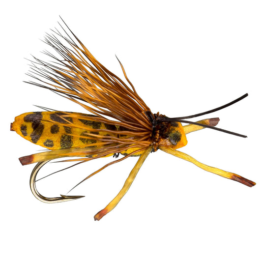Buzzkill Bee Fly Fishing