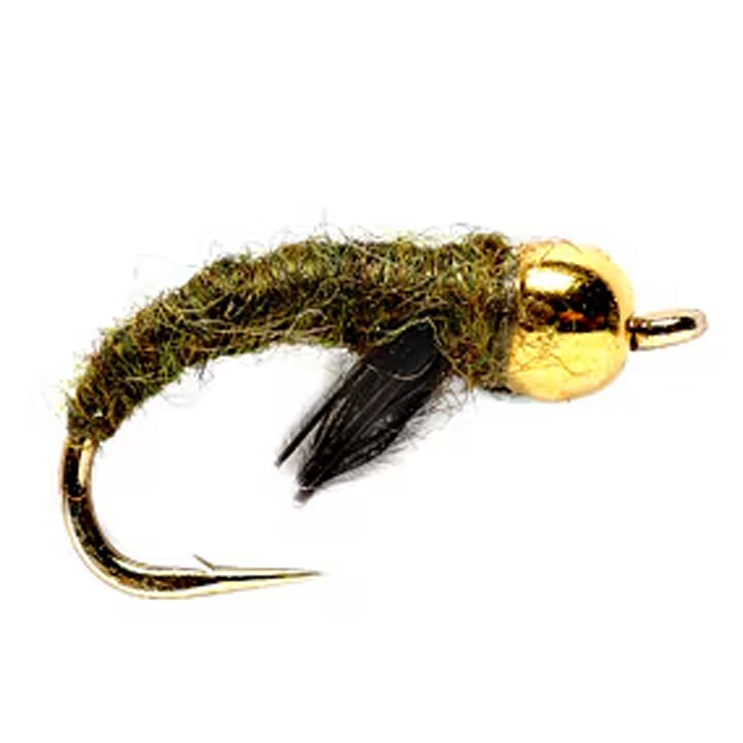 Caddis Pupa Nymph