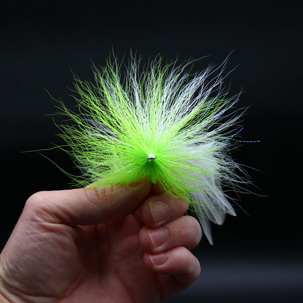 Hollow Fleye