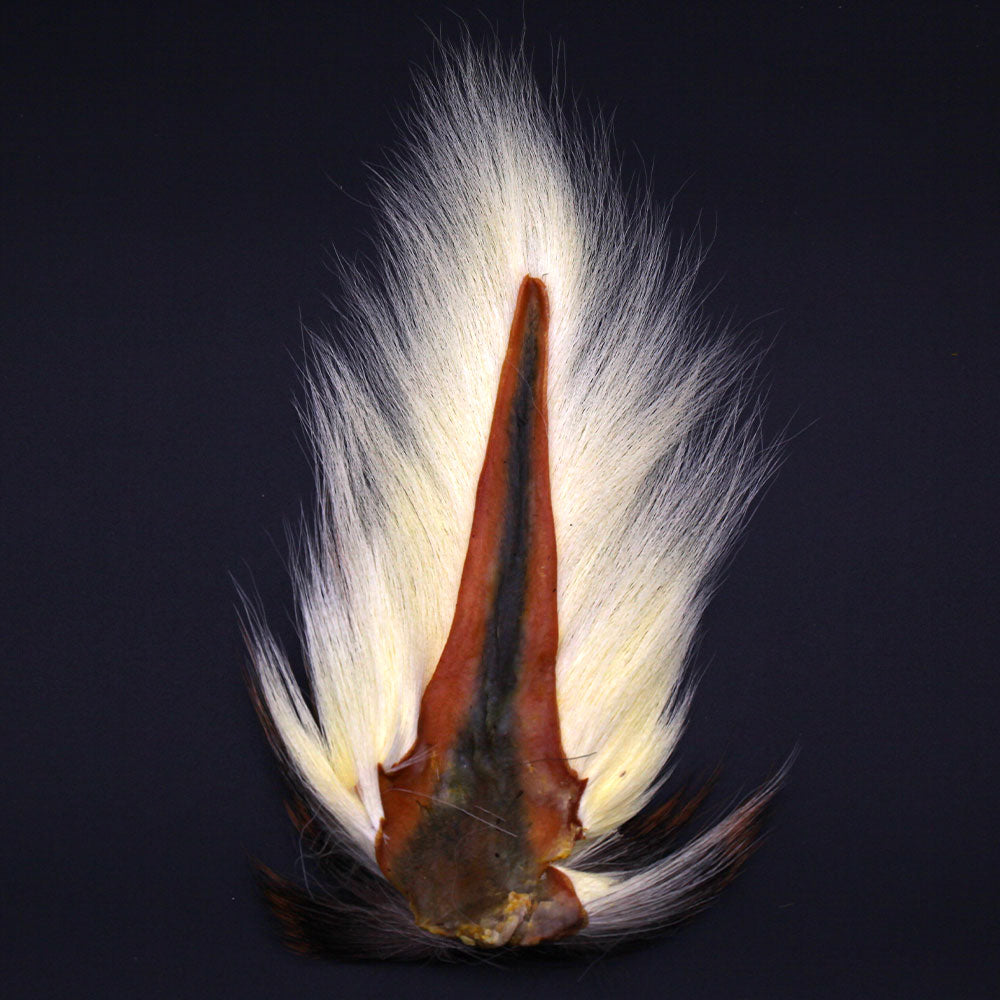 Dyed Maine Bucktail Fly Tying