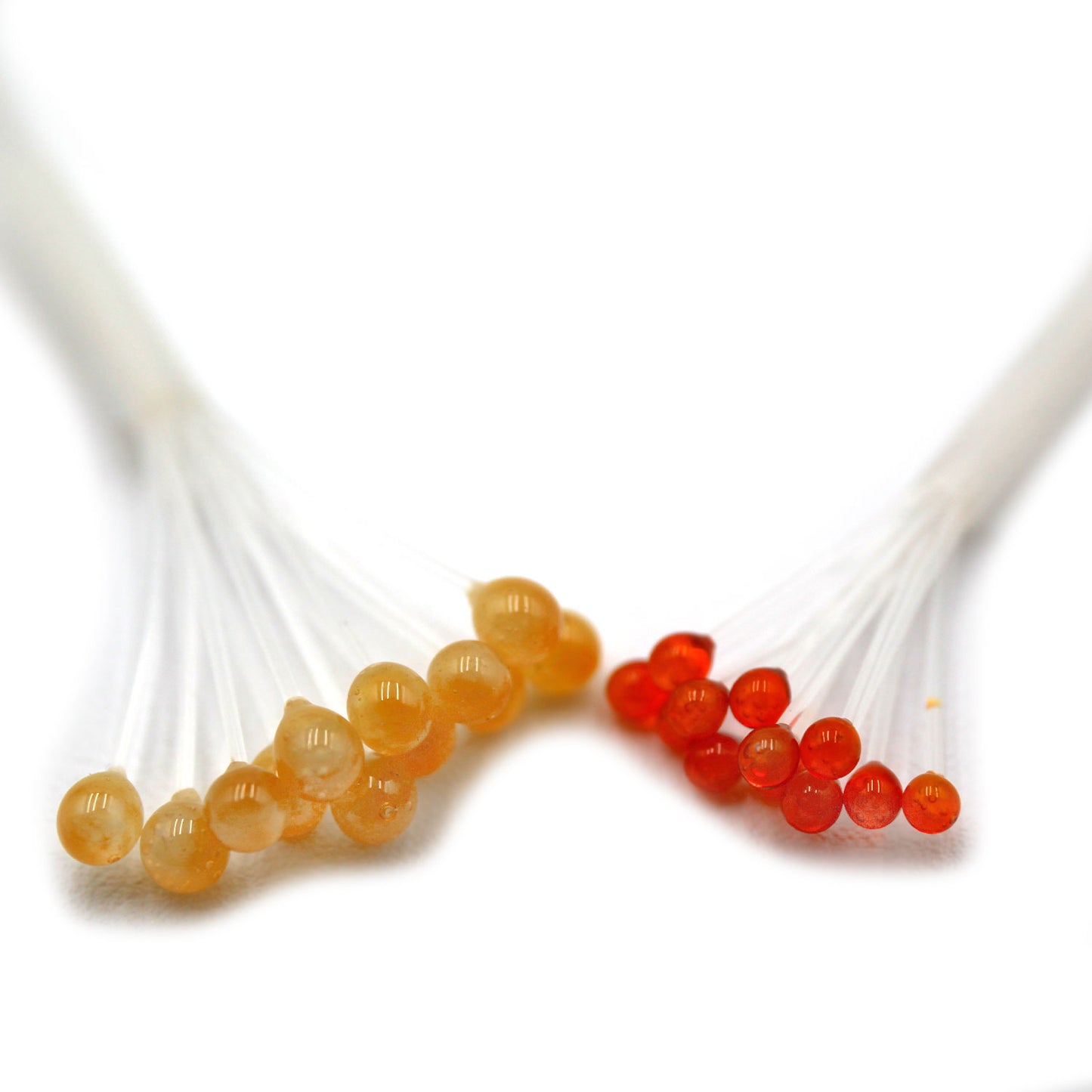 EP Crab and Shrimp Eyes Fly Tying