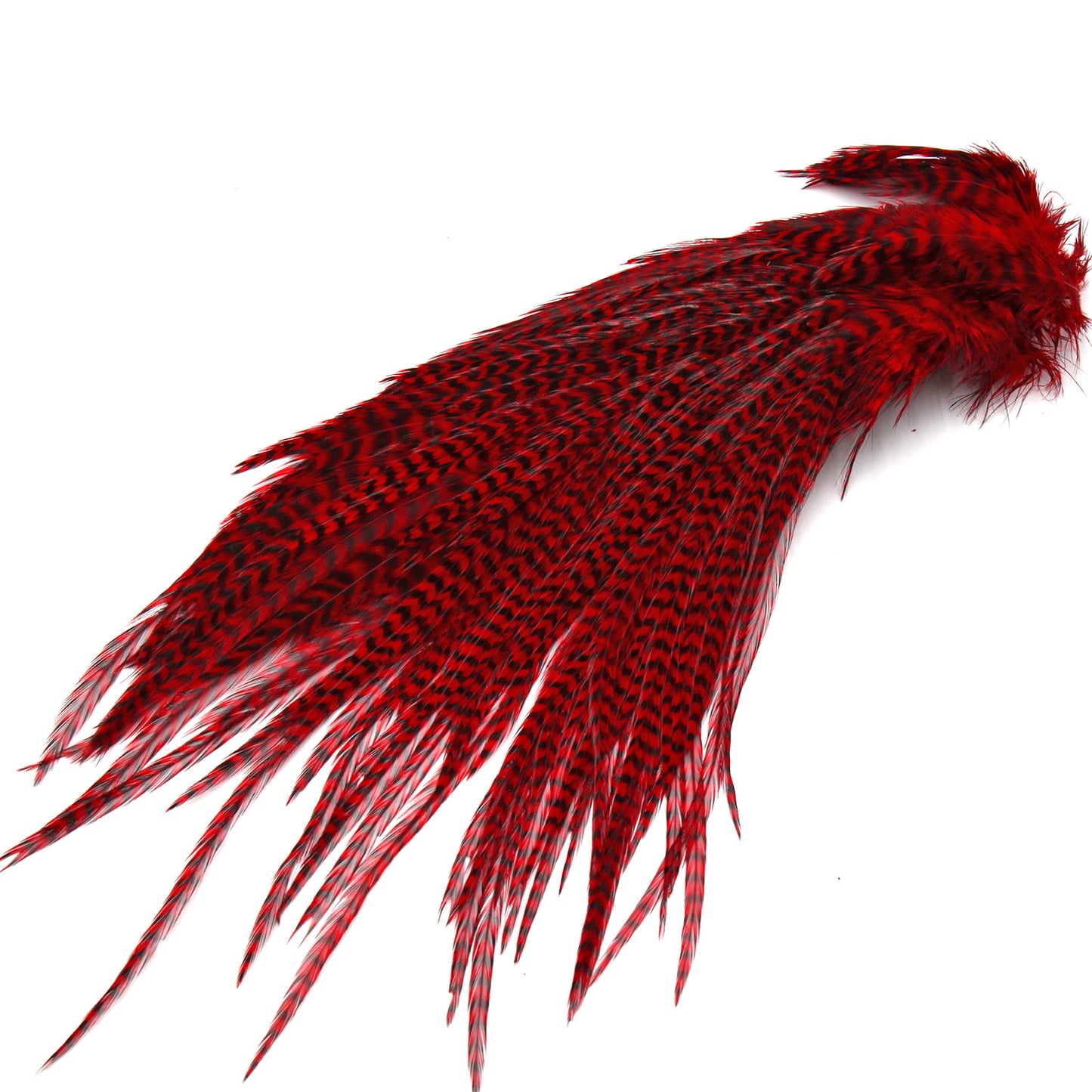 Ewing Half Saddles Fly Tying