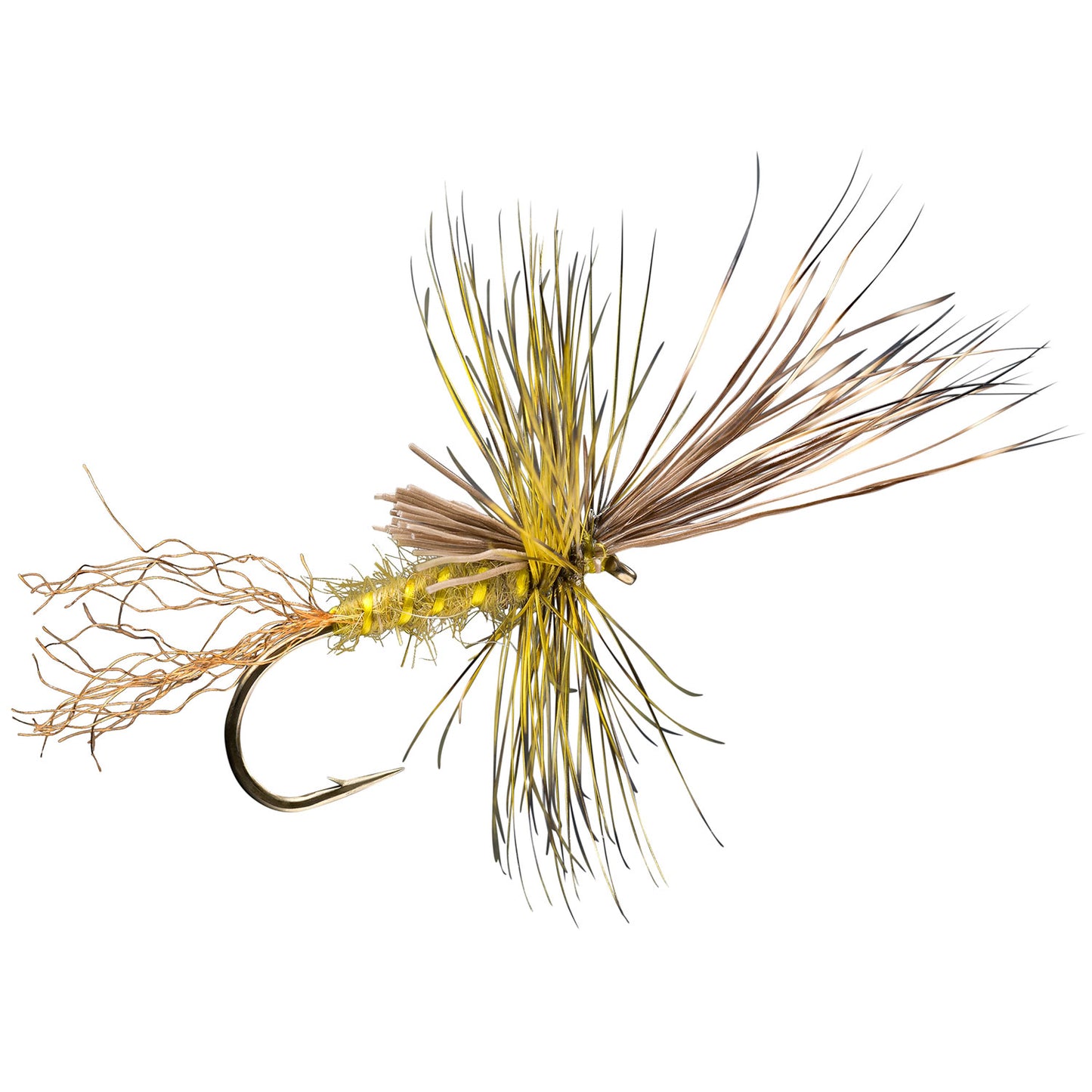 Green Drake Cripple Fly Fishing