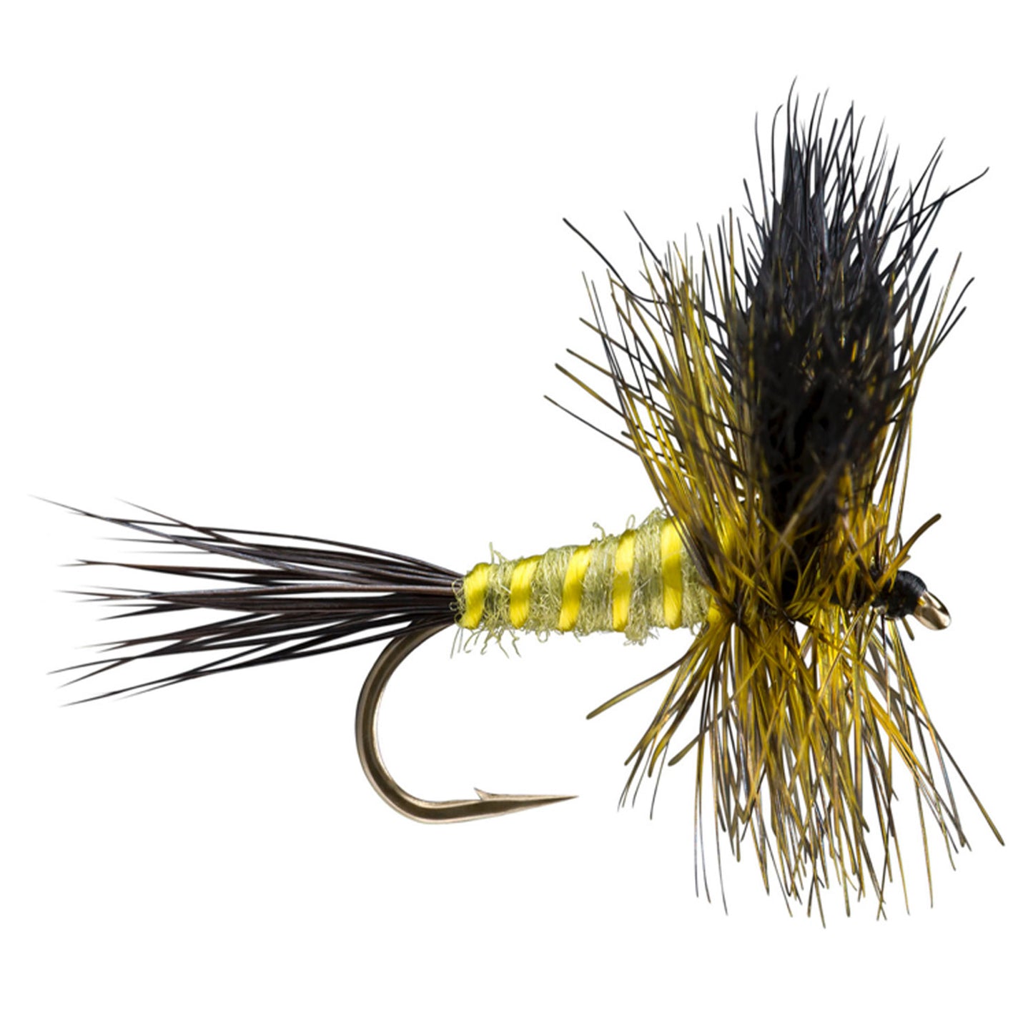 Green Drake Fly Fishing