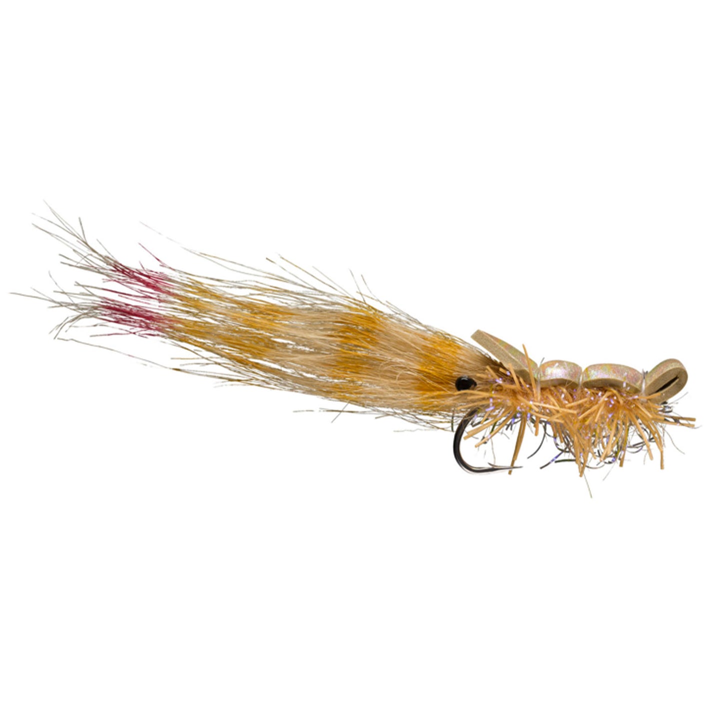 Guido Shrimp