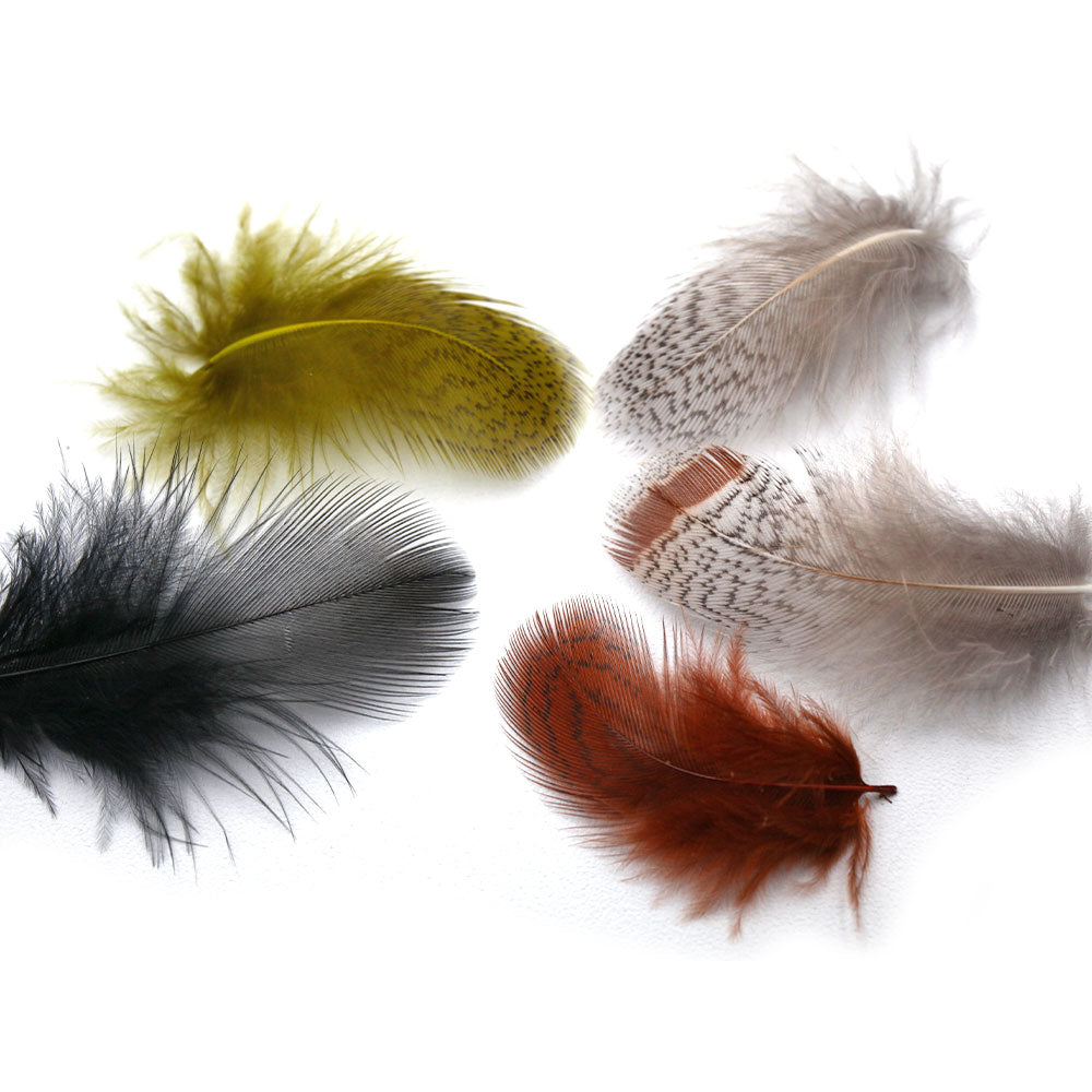 Premium Hungarian Partridge Feathers – ALL POINTS FLY SHOP OUTFITTER