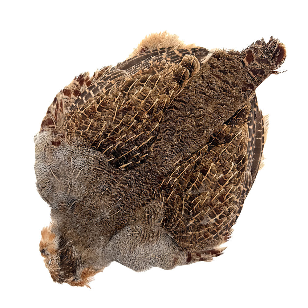 Hungarian Partridge Skin Full