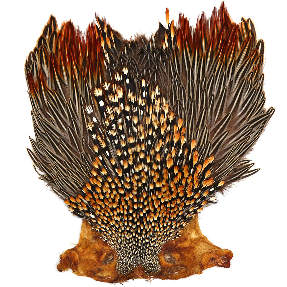 Jungle Cock Capes & Necks (Premium Grade)