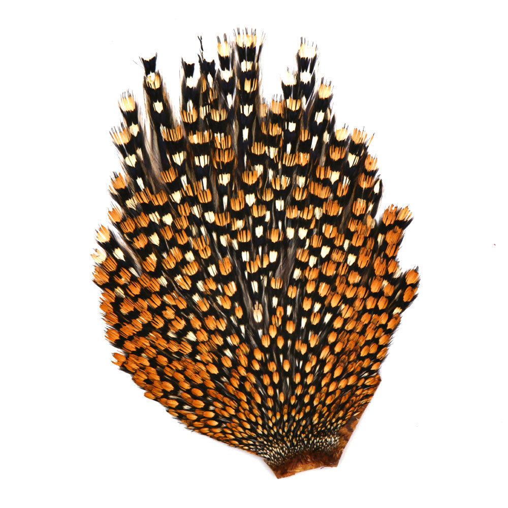 Jungle Cock Capes & Necks (Premium Grade)