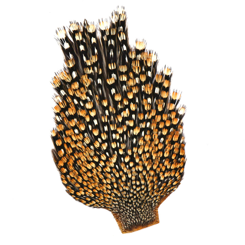 Jungle Cock Capes & Necks (Premium Grade)