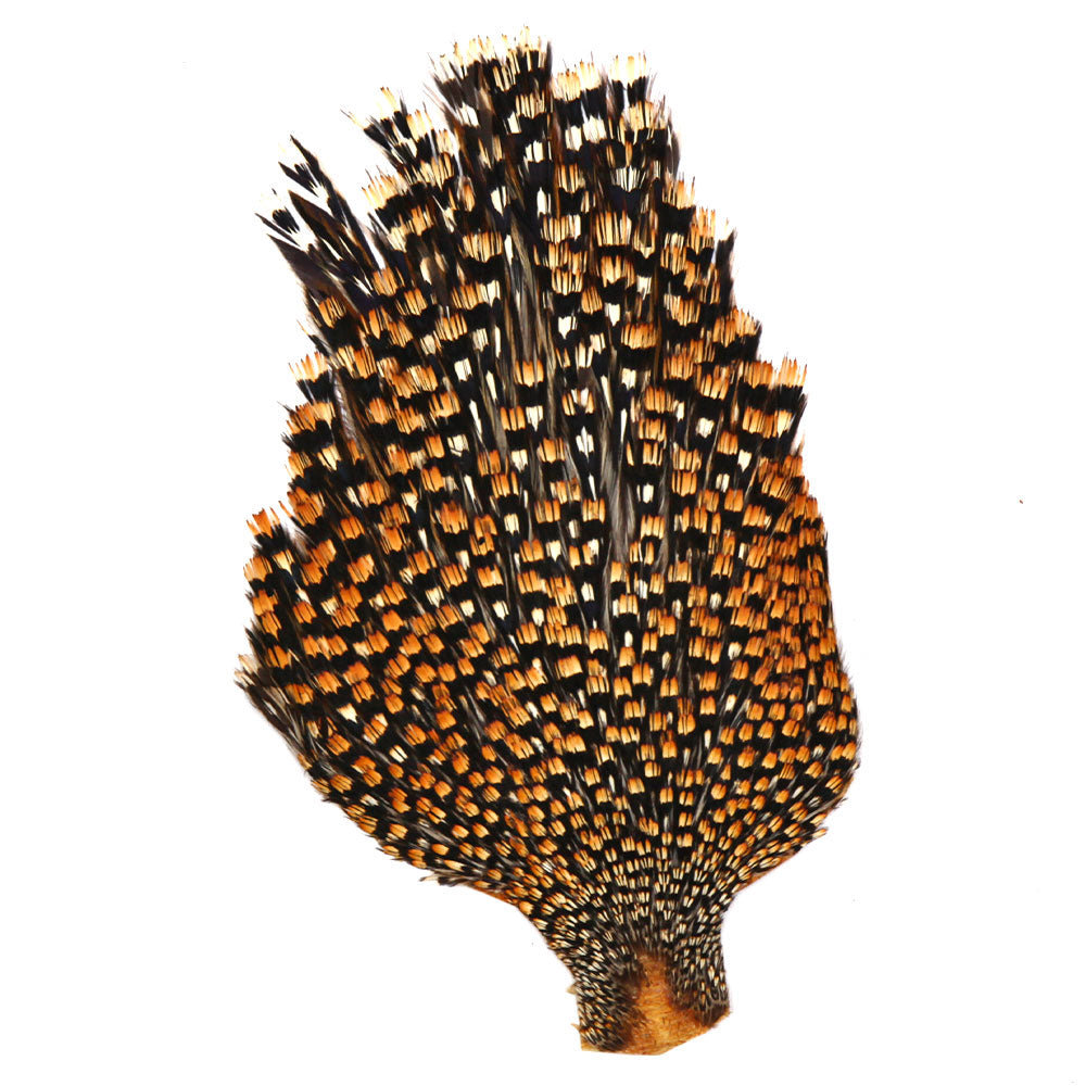 Jungle Cock Capes & Necks (Premium Grade)