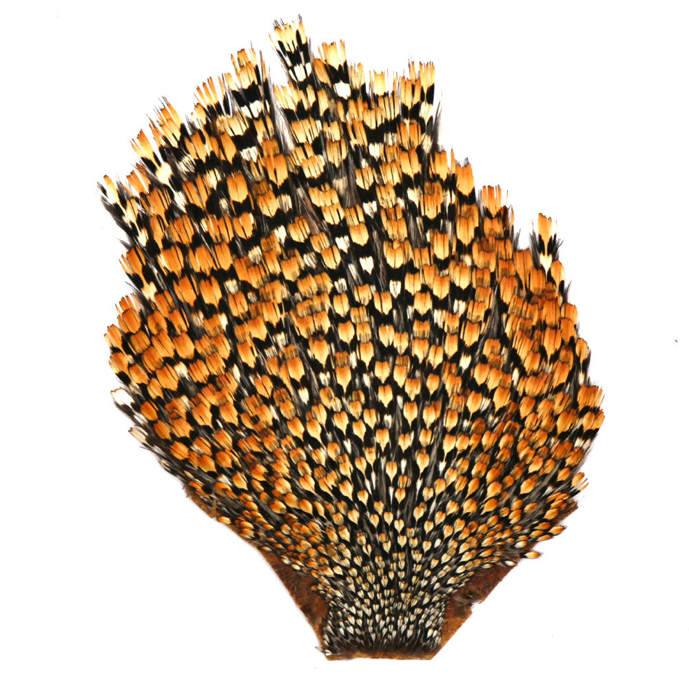 Jungle Cock Capes & Necks (Premium Grade)