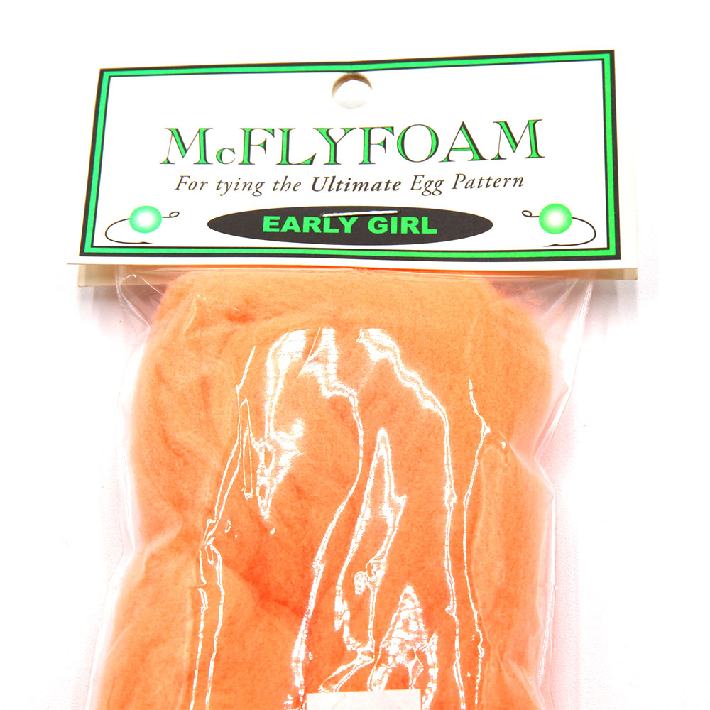 McFlyFoam