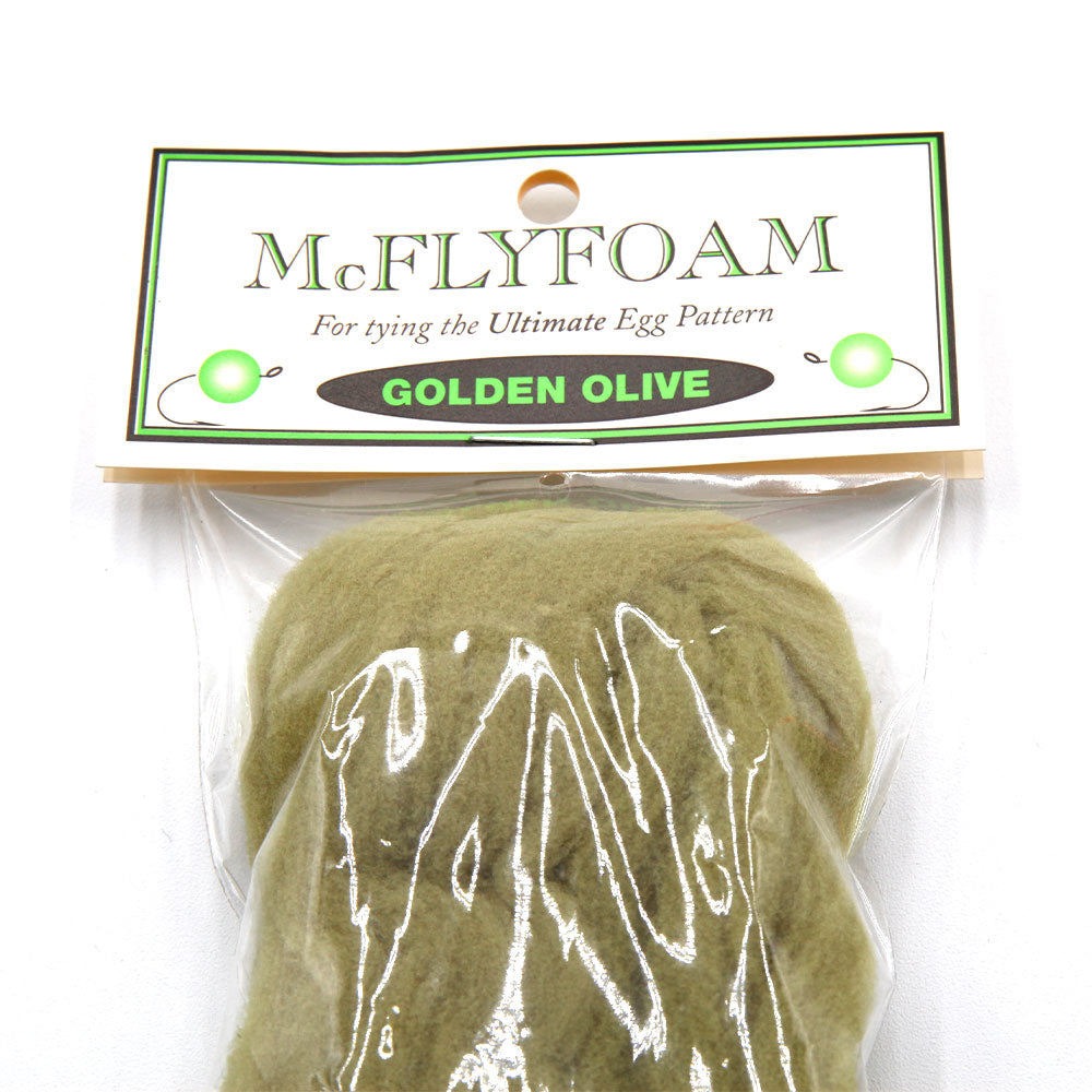 McFlyFoam
