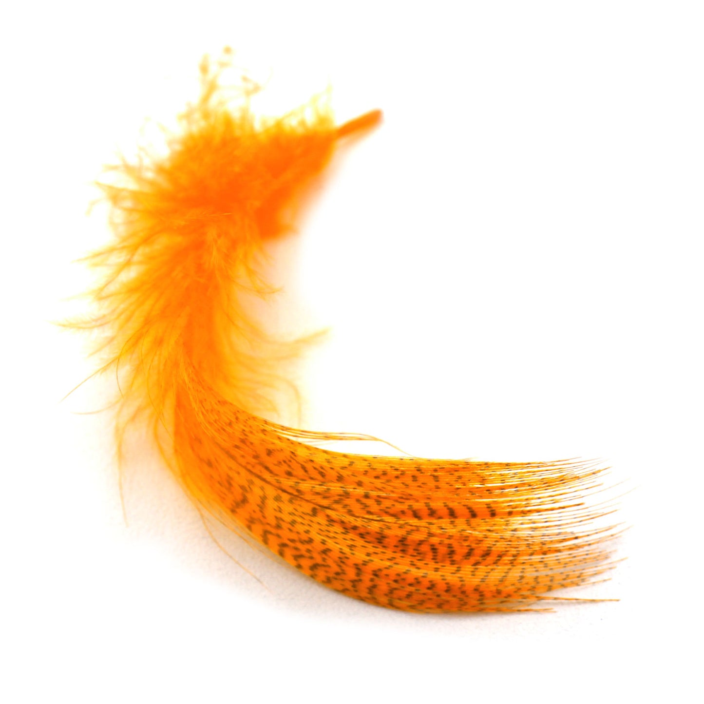 Mallard Flank Feathers Orange