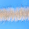EP Foxy Brush