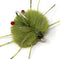 Tactical Tungsten Crab Fly