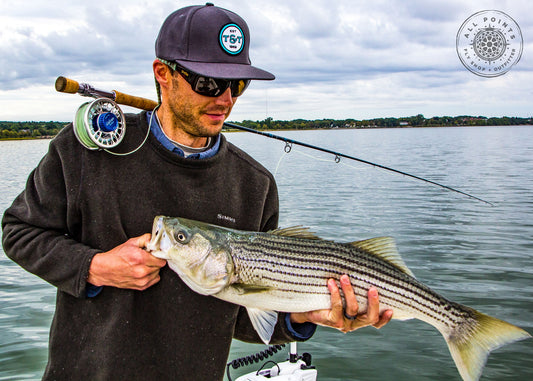 Fly Fishing For Striped Bass In The Fall New England