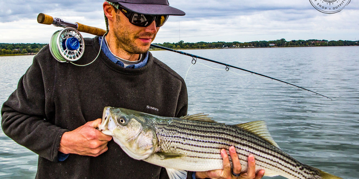 3 Tips For Striped Bass Fishing In The Fall– All Points Fly Shop + Outfitter