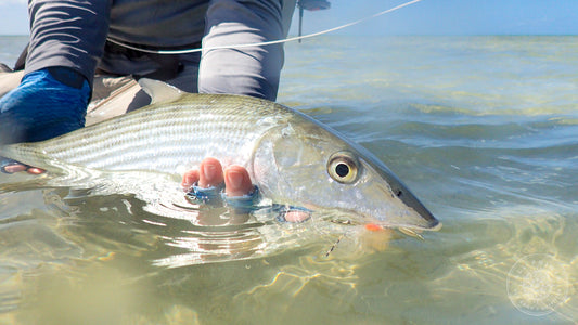 Acklins Island Bahamas DIY Fly Fishing