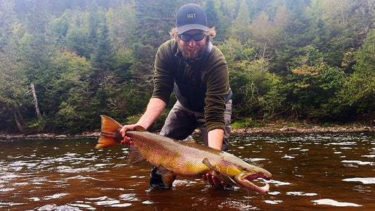 Giant Atlantic Salmon Caught in Gaspé Canada