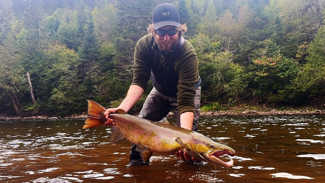 Video: Giant Atlantic Salmon Caught in Gaspé