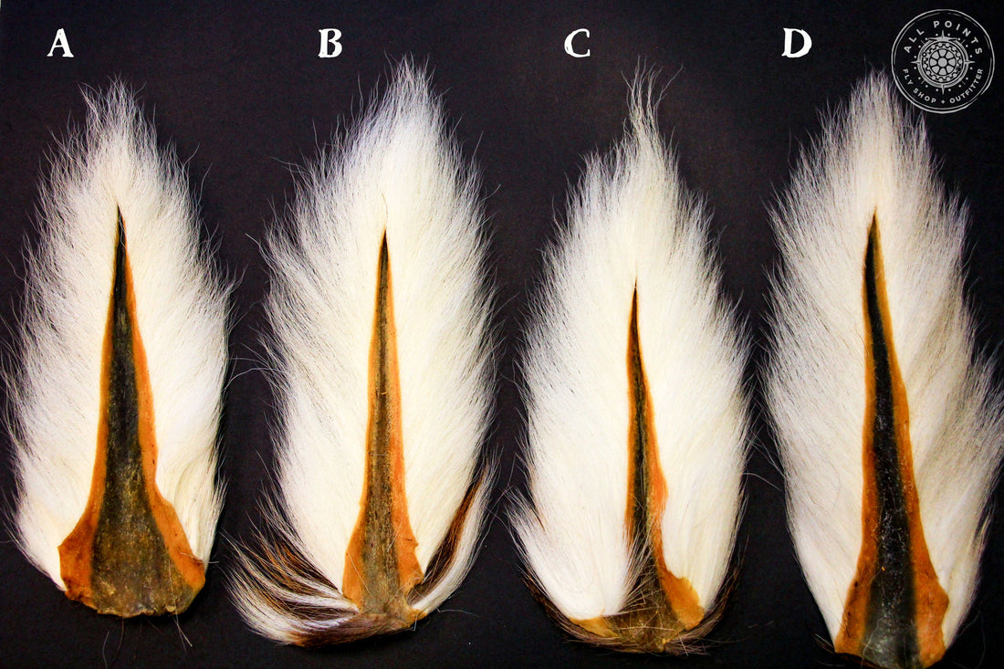 Bucktail Hairs - Fly Tying - Choosing Bucktail