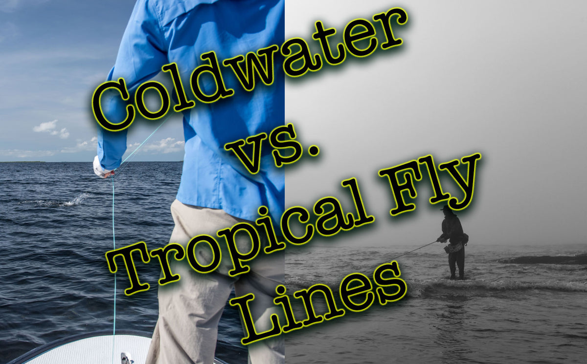 What's the Difference Between a Coldwater and Tropical Fly
