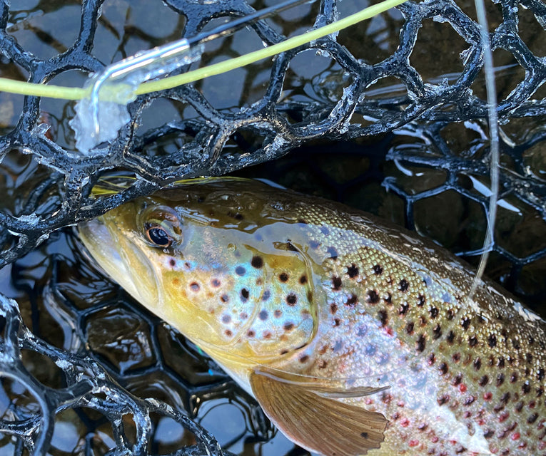 Fly Fishing in Maine: January