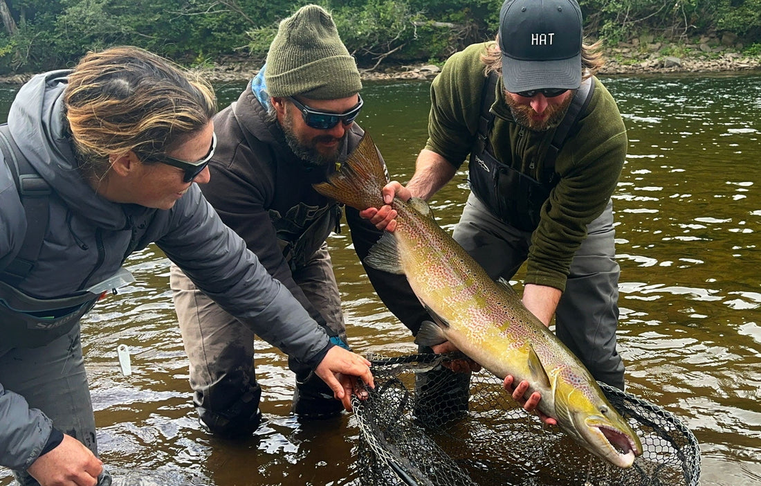 Trip Report Gaspé Coastal Fly Fishing