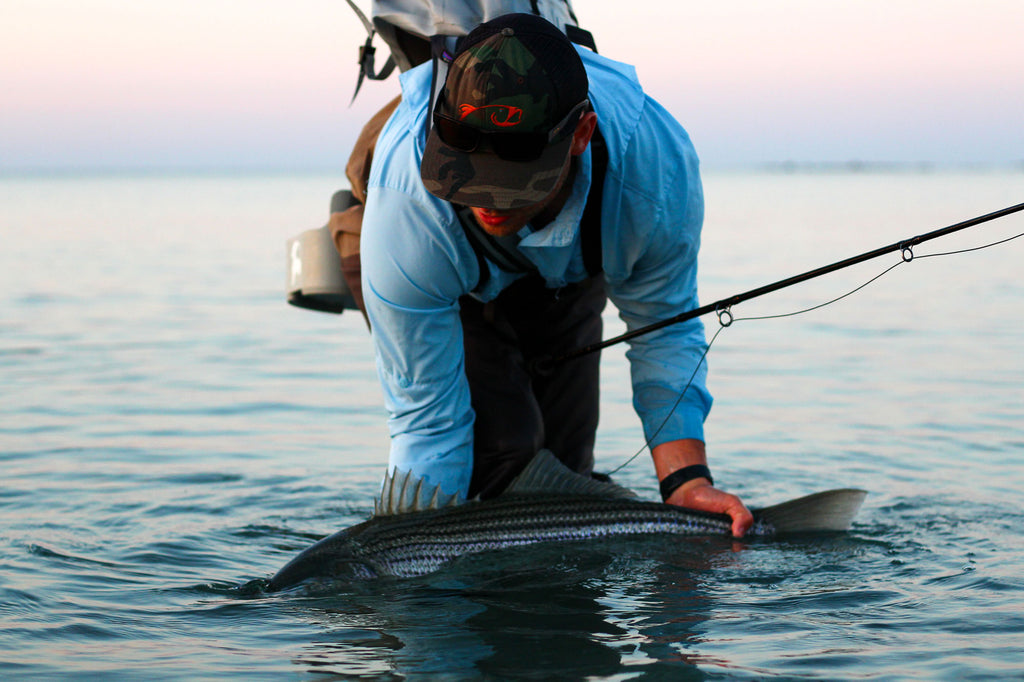 Sight-Fishing for Striped Bass : Fly-Fishing Strategies for