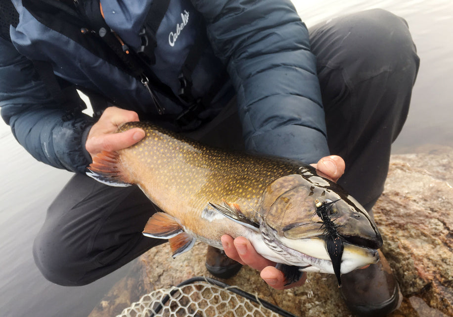 Top 5 Streamers for Brook Trout + Landlocked Salmon in the Spring