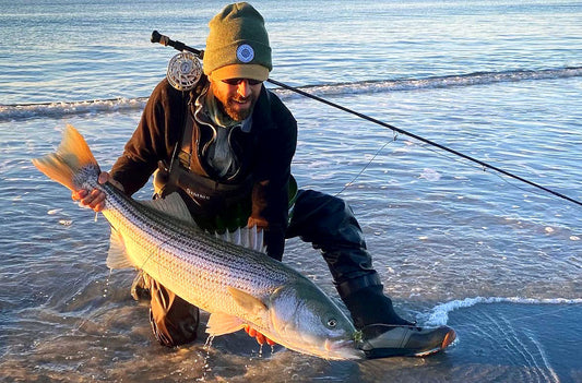 Fly Fishing for Trophy Striped Bass in Maine