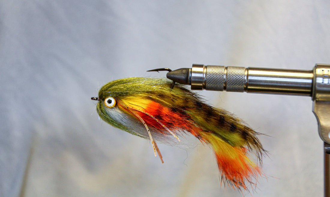 Fly Tying - Double Money Streamer - Zonker Strips