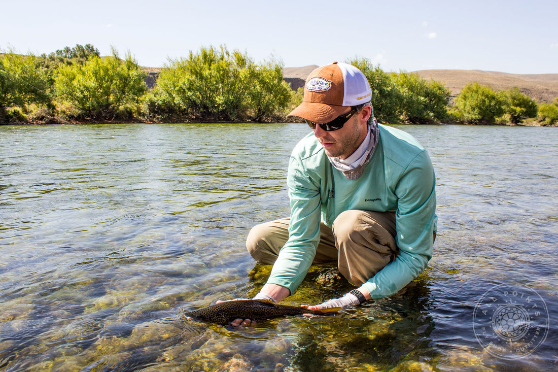 Fly Fishing For Trout 5wt