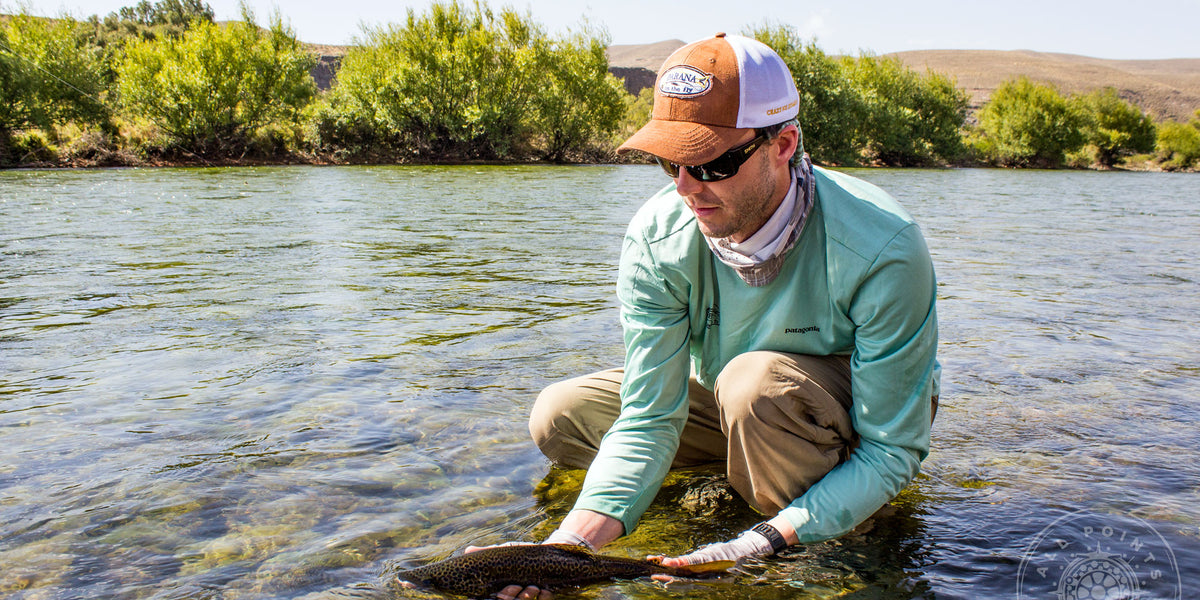 When Should You NOT Use a 5wt For Trout?– All Points Fly Shop + Outfitter