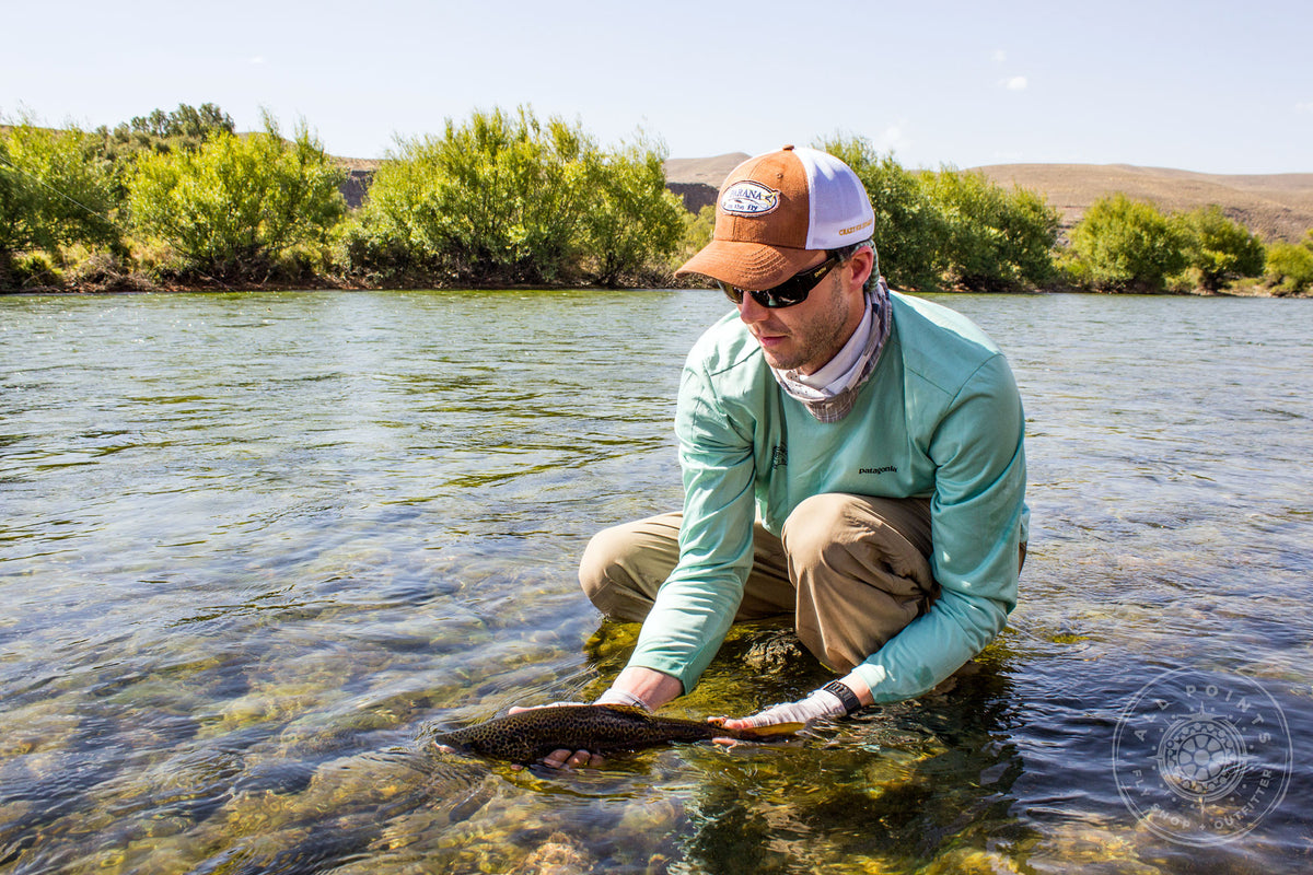 Top 10 Flies for Trout in Patagonia - Orvis News