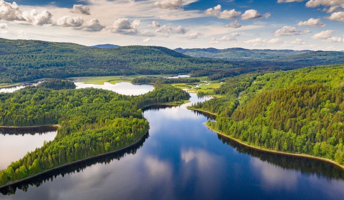 Parmachenee Lake Maine