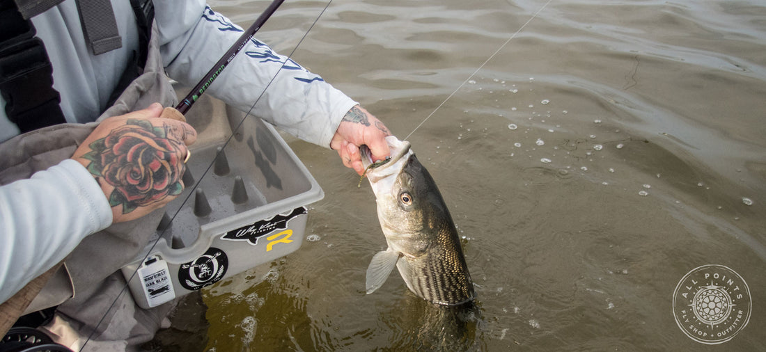 best striper fishing fly rods Lost Coast Outfitters Surf Rod Fly Fishing Striper Rods And
