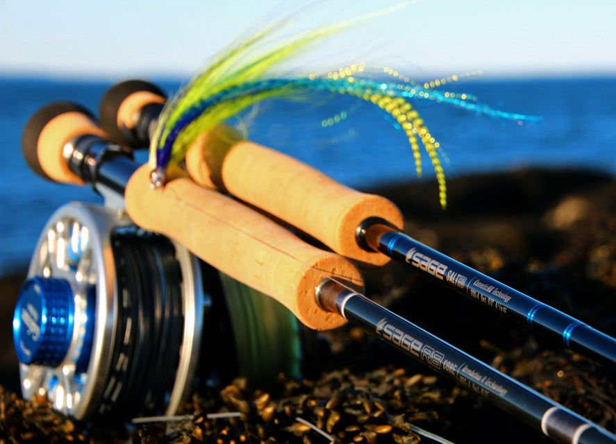 All Points Fly Shop + Outfitter - News– tagged Stripers