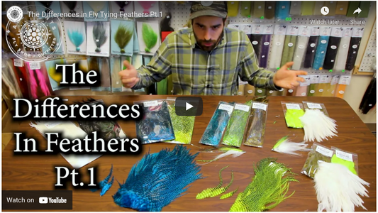 The Differences in Feathers for Fly Tying 