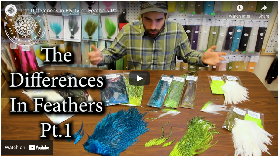 Video: The Differences in Fly Tying Feathers Pt.1