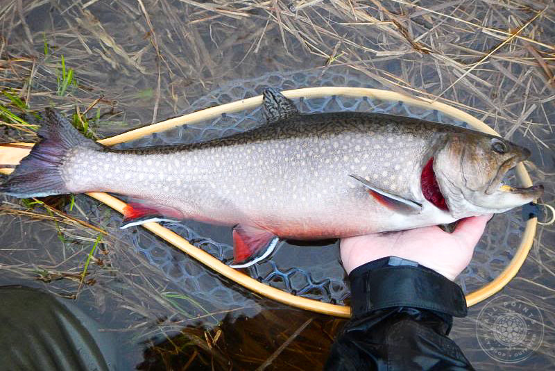 New England Fly Fishing In March?