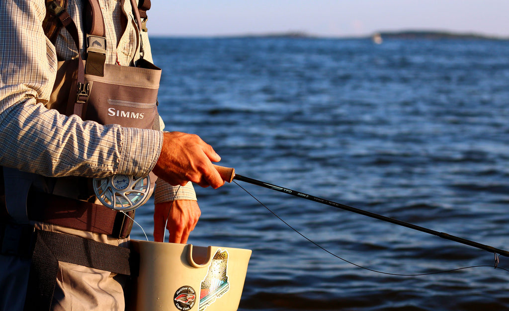 The Top 3 Intermediate & Sinking Fly Lines For Striped Bass