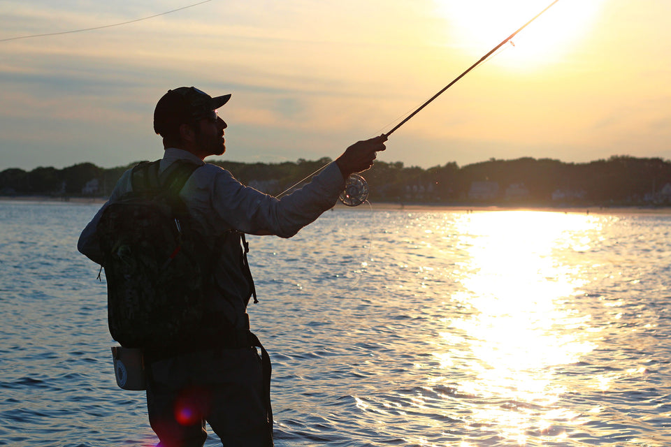 What Makes a Fly Rod Great for Striped Bass?