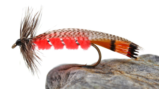 How To Tie Wood Special Fly Pattern