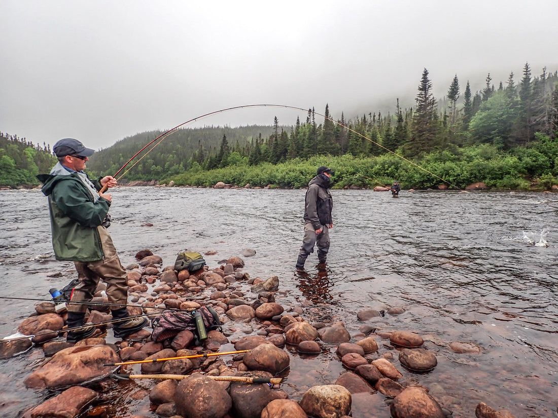 Gear Review: Sage's 10' 7wts - Shootout On The Pinware River ALL POINTS FLY SHOP + OUTFITTER Gear Review: Sage's 10' 7wts - Shootout On The Pinware River ALL POINTS FLY SHOP + OUTFITTER