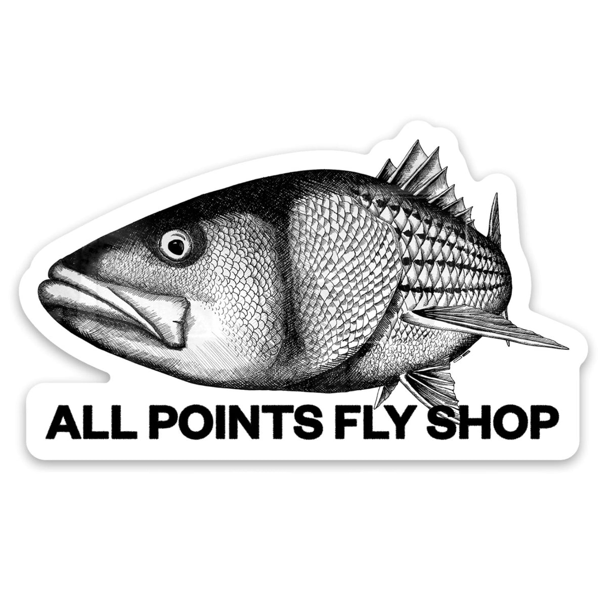 All Points Fly Shop Striped Bass Sticker